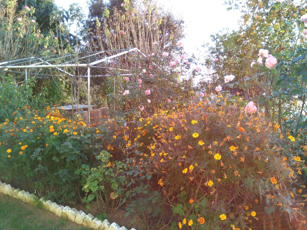 Maa Ananda Mayee Guest House Binsar Luaran gambar