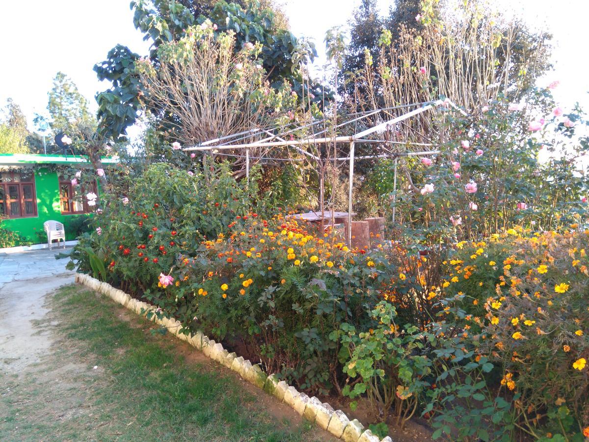 Maa Ananda Mayee Guest House Binsar Luaran gambar