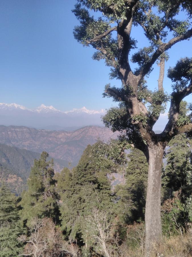 Maa Ananda Mayee Guest House Binsar Luaran gambar