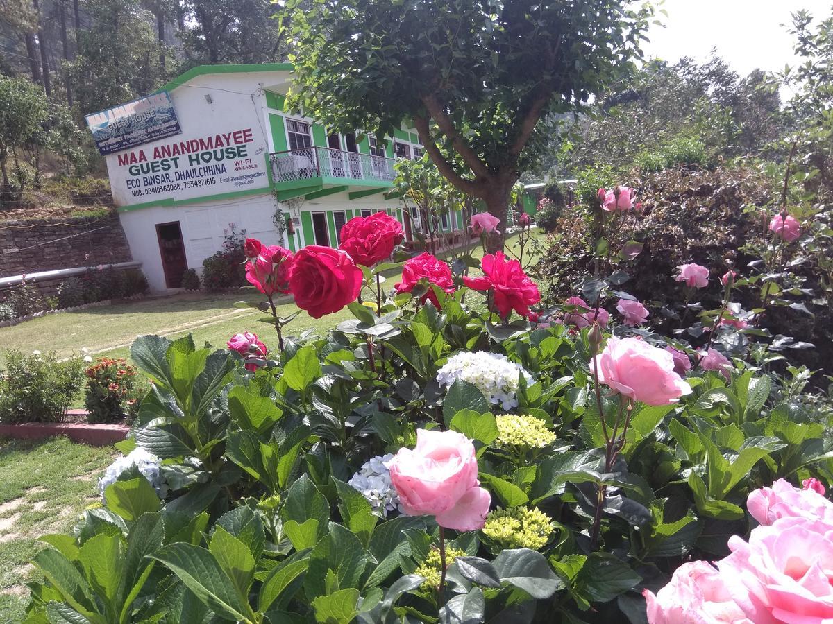 Maa Ananda Mayee Guest House Binsar Luaran gambar